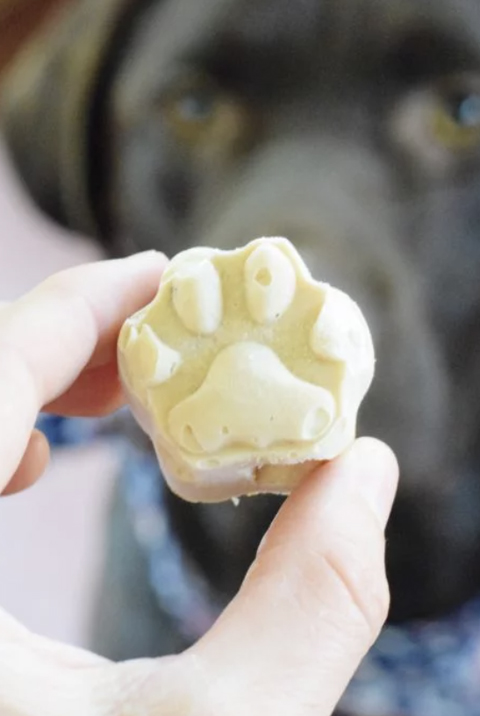 The 15 best homemade dog treats to spoil your pup