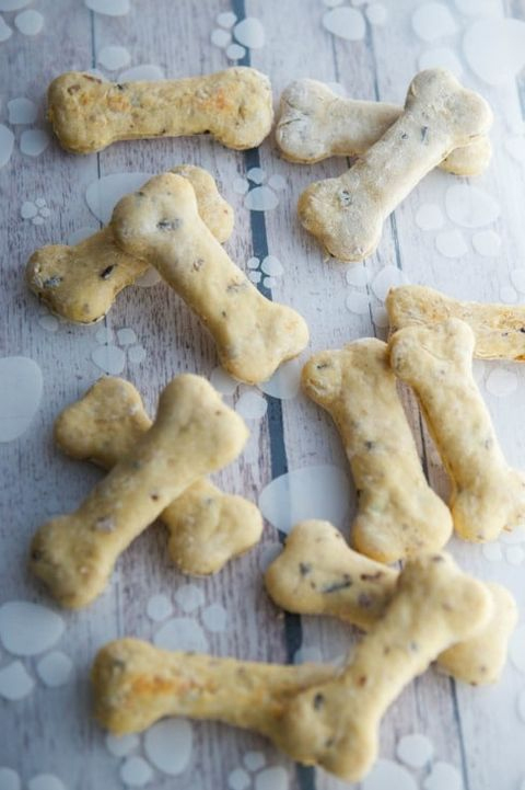 The 15 best homemade dog treats to spoil your pup