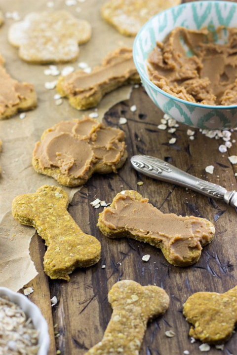 The 15 best homemade dog treats to spoil your pup