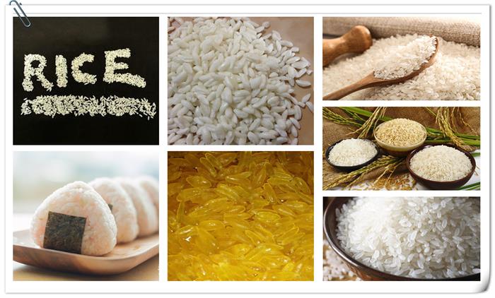 Do You Know the Production Process of Nutritious Rice?