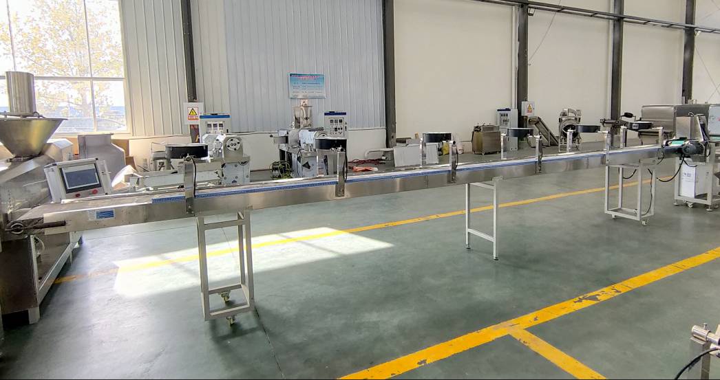 Pet Treats Extrusion Line