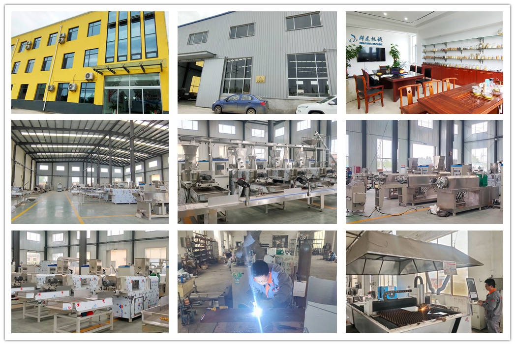 Dry Pet Food Extrusion Line