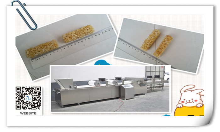 A Successful Test Running On Muesli Bar Cutting Machine