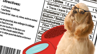 How to accurately read dog food labels (II)
