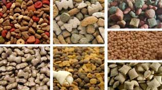 Issues In Food & Feed Extrusion