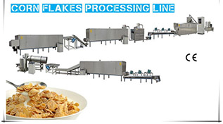Introduction of Corn Flake Extrusion Line